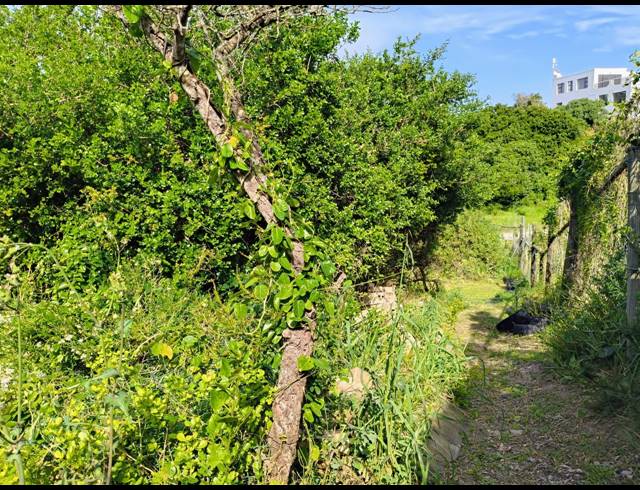 1,352M² VACANT LAND FOR SALE IN PARADISE BEACH